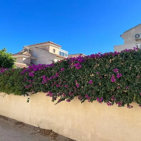 Apartment Club Salino 18